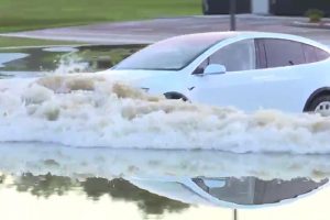 Відео: кросовер Tesla впорався з повінню